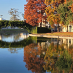 Louis Armstrong Park pond with a walking bridge and trees with their orange gold leaves reflecting in the water.
