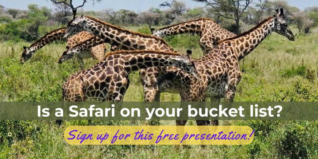 A photo of a group of giraffes grazing in Africa. The caption reads "Is an African Safari on your bucket list? Sign up for this free presenation."