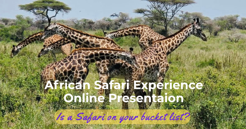 A photo of a group of giraffes grazing in Africa. The caption reads "Is an African Safari on your bucket list? Sign up for this free presenation."