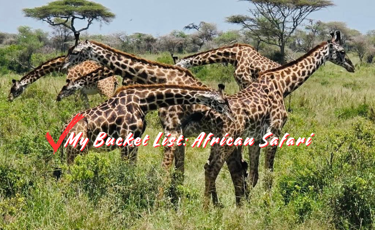 A photo of a pack of giraffes in Africa. The caption reads "My bucket list: African Safari" with a big red checkmark.